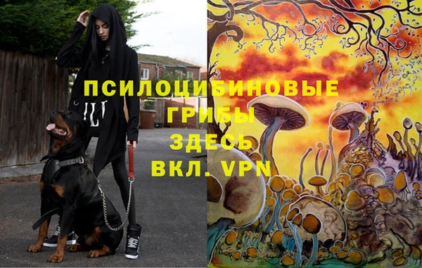 ECSTASY Приозерск