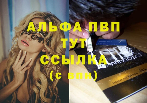spice Баксан