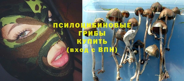 ECSTASY Пролетарск